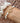 Bracelet perles d'eau douce & perles (personnalisable) - doré
