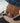 Charm étoile de mer bleue - doré