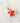 Charm étoile de mer rouge - doré