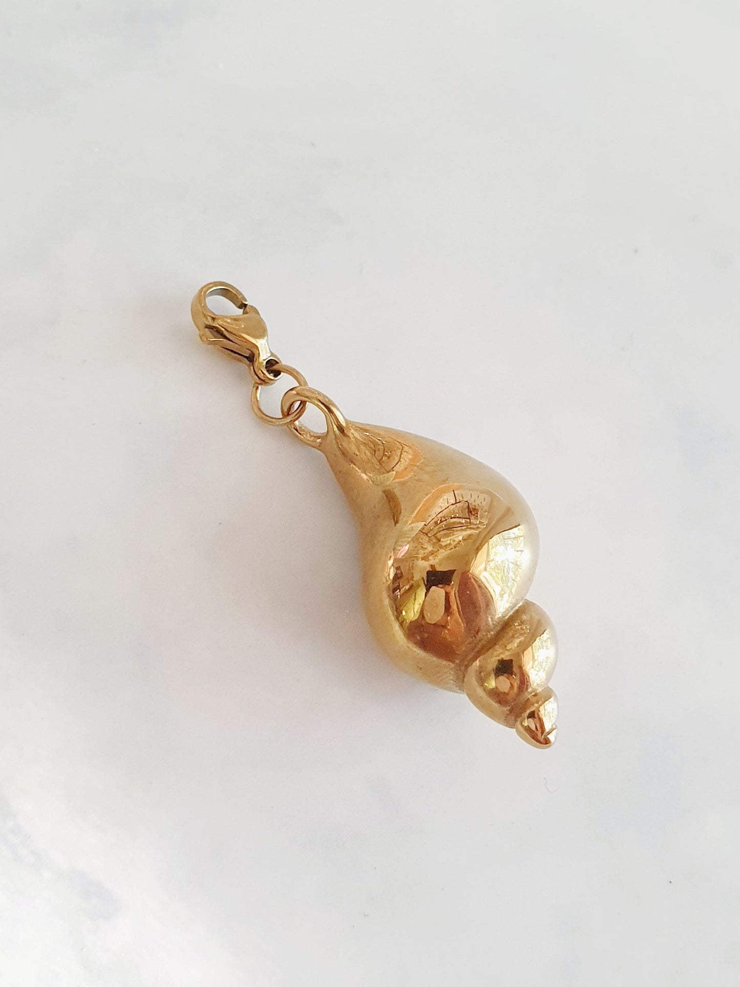 Charm grand coquillage buccin Premium - doré