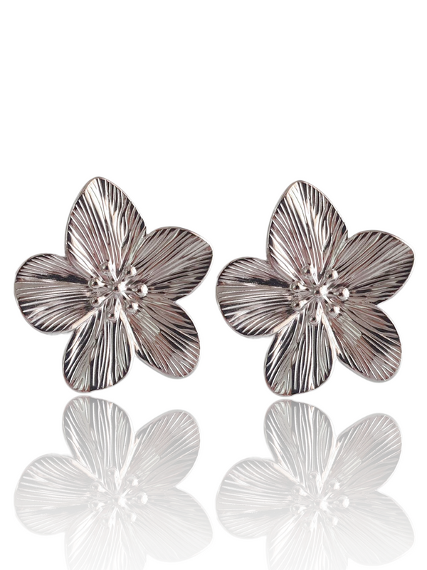Boucles d'oreilles BALI - argenté