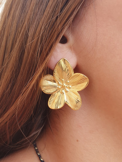 Boucles d'oreilles BALI - doré