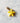 Charm étoile de mer - doré | jaune
