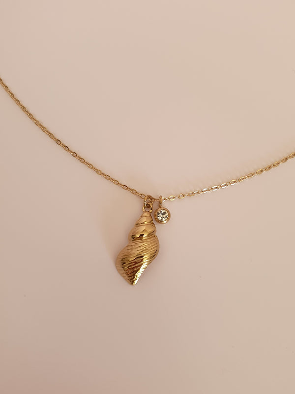 Collier coquillage buccin & zircon - doré