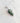 Charm poisson pois - argenté | vert sapin