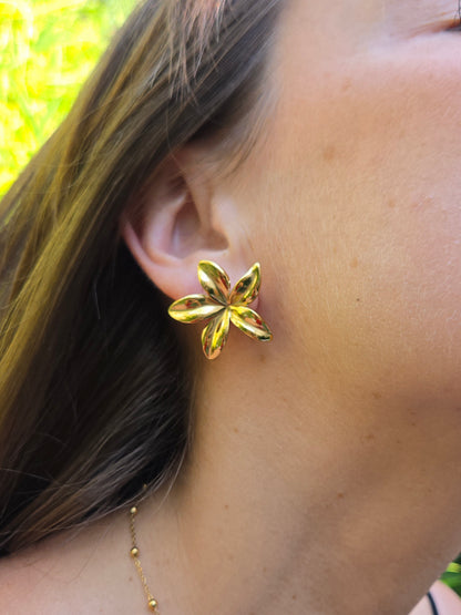 Boucles d’oreilles MARINA