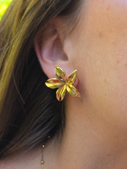 Boucles d’oreilles MARINA
