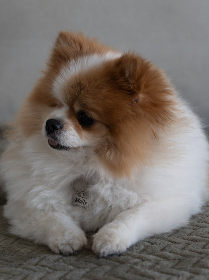 Médaillon os pour chiens Taille S - argenté