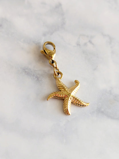Charm étoile de mer striée