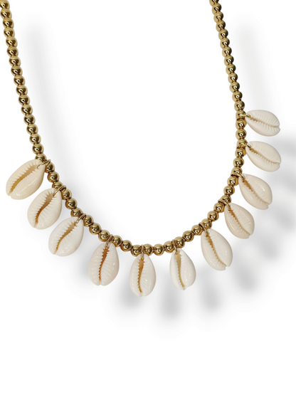 Collier coquillages cauri ZEPHIRA - doré