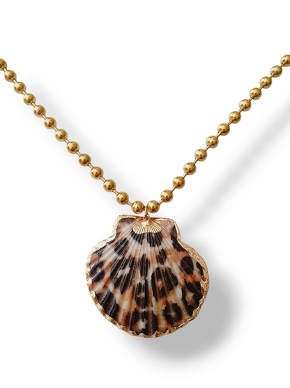 Collier coquillage léopard - doré