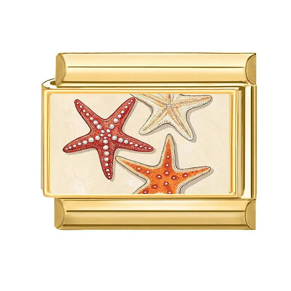 Charm italien étoiles de mer