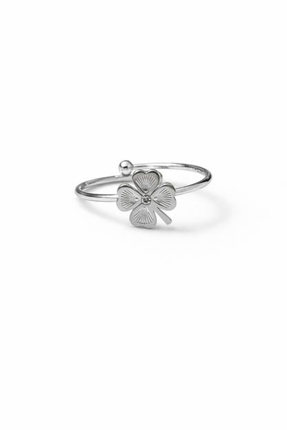 Bague EMA - argenté