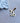 Charm Capricorne acier