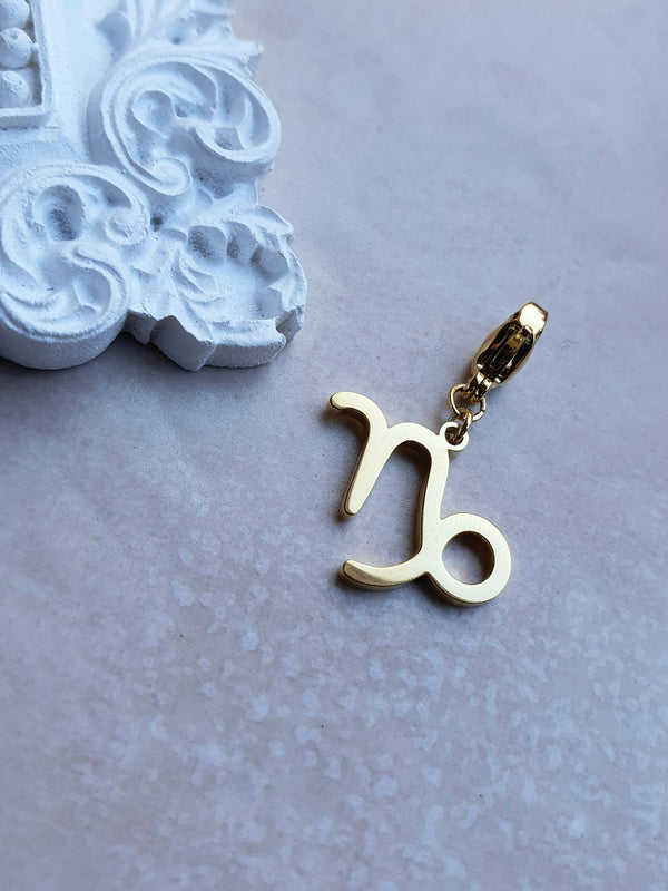 Charm Capricorne acier